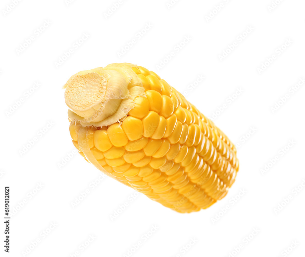 Cut fresh corn cob on white background