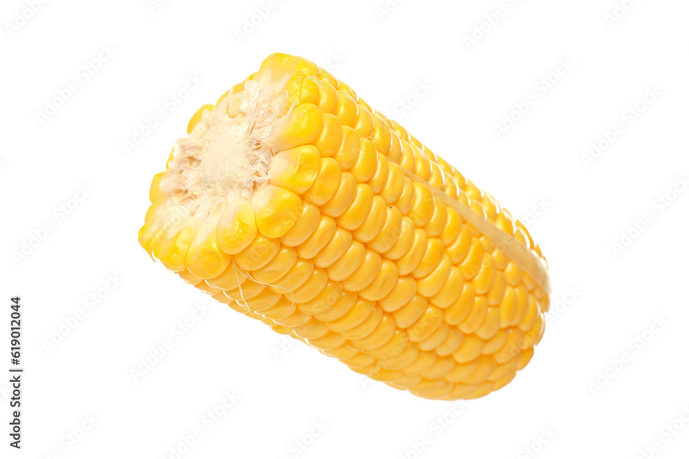 Cut fresh corn cob on white background