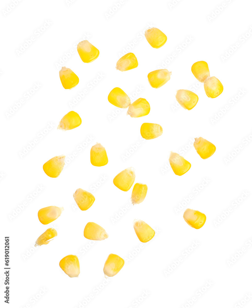 Fresh corn seeds on white background