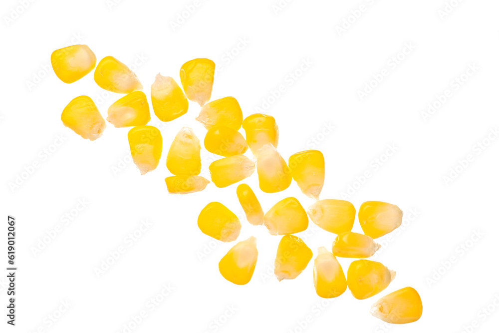 Fresh corn seeds on white background