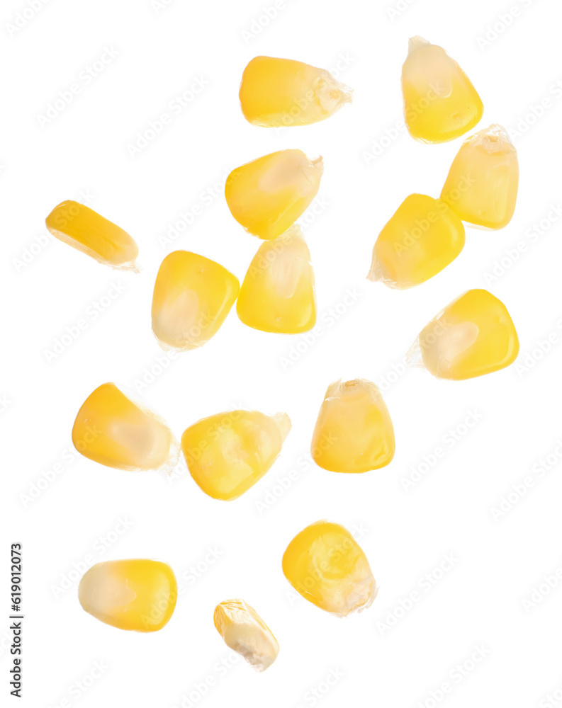 Fresh corn seeds on white background