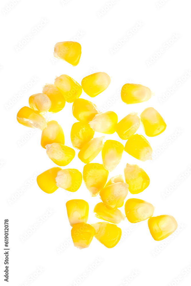 Fresh corn seeds on white background