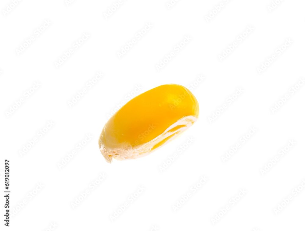 Fresh corn seed on white background