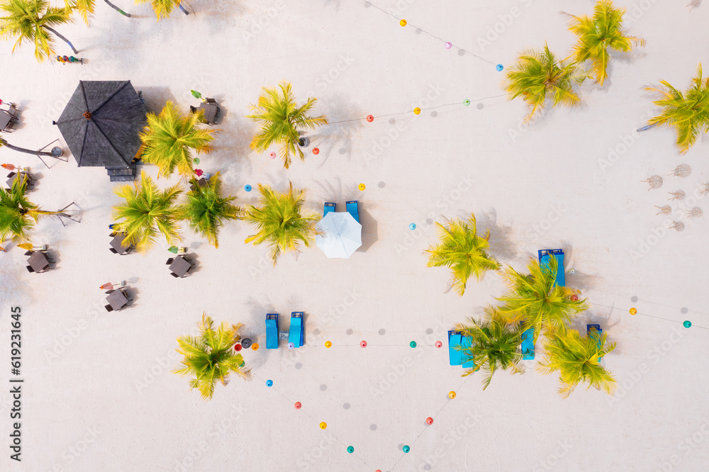 Seashore with palm trees and cafes. Coast as a background from top view.  Aerial landscape. Backgrou