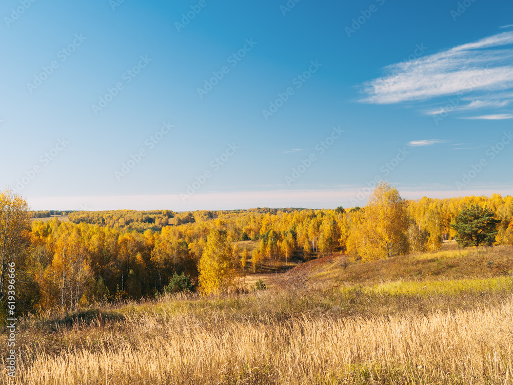 Golden autumn, sunny landscape on colorful autumn forest