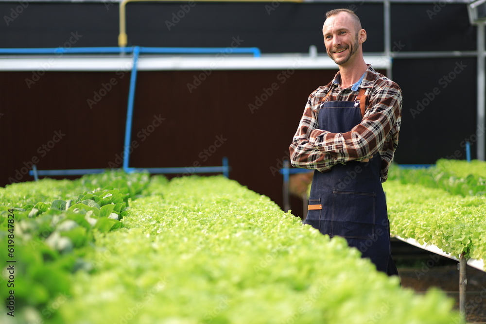 Farmer checking plant health in greenhouse system and harvesting. Farmer inspect farm products quali