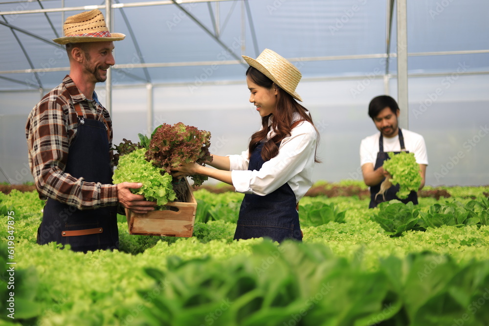 Happy couple farmers working on hydroponics farm, small family business. Farmers are checking the qu