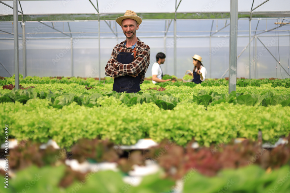 Farmer checking plant health in greenhouse system and harvesting. Farmer inspect farm products quali