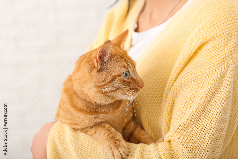 Woman with ginger cat at home, closeup