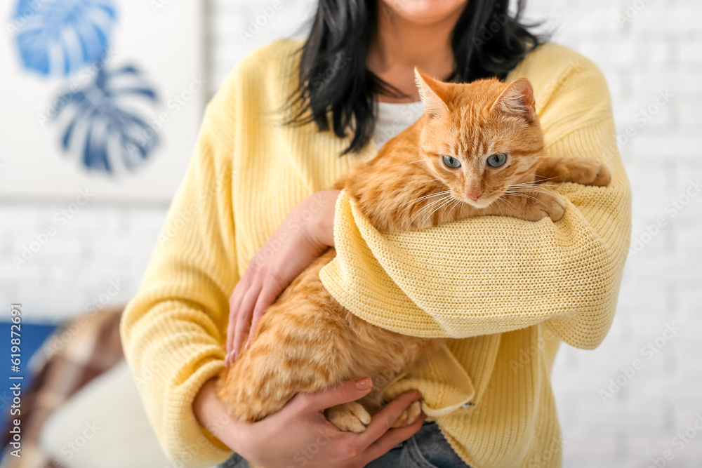 Woman with ginger cat at home, closeup