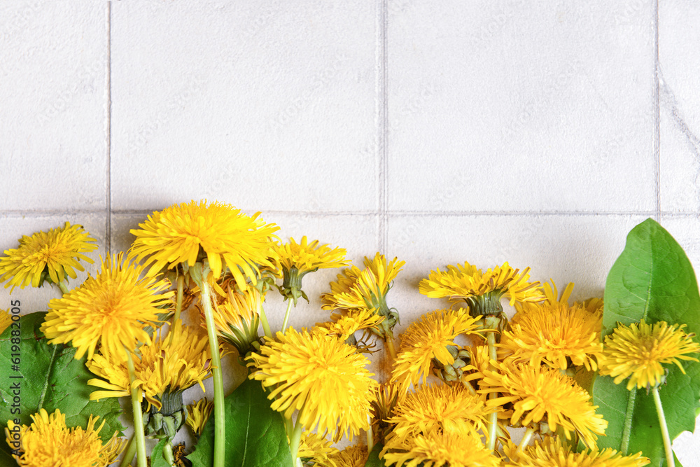 Composition with yellow dandelion flowers and leaves on light tile background, closeup