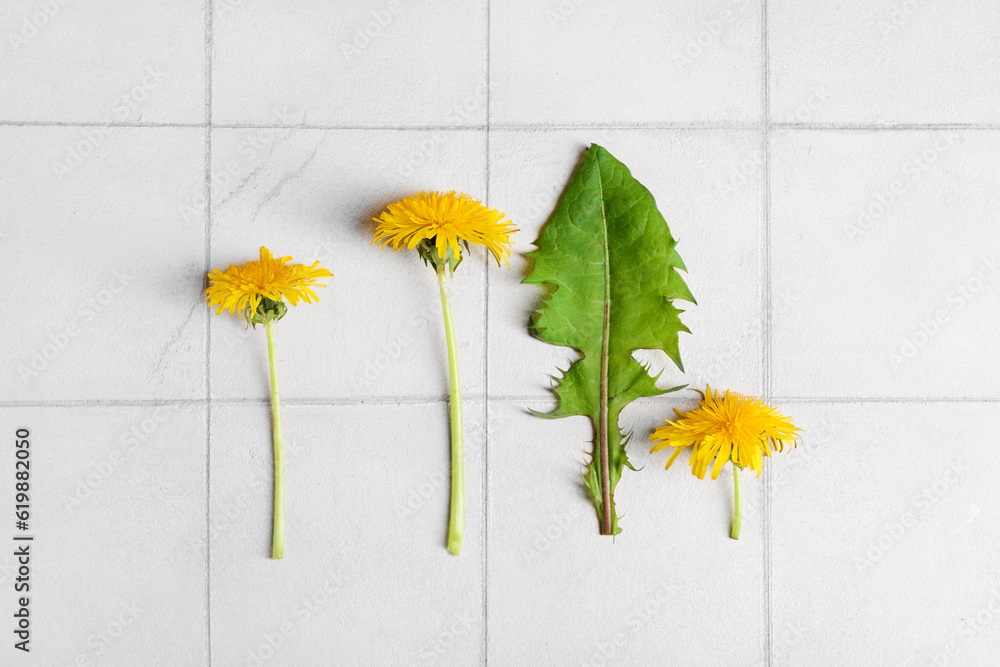 Yellow dandelion flowers and leaf on light tile background