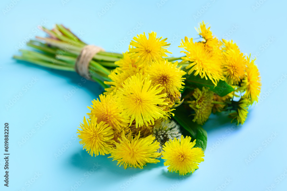 Bouquet of yellow dandelion flowers on color background