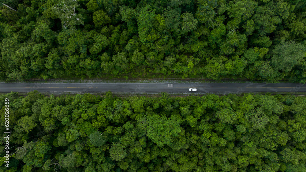 Aerial view white electric vehicle car or EV car on green forest road, EV car travel in green season