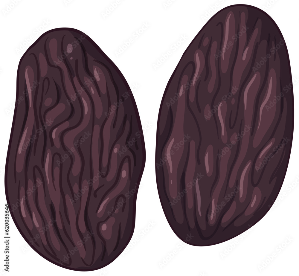 Two Isolated Raisins Vector