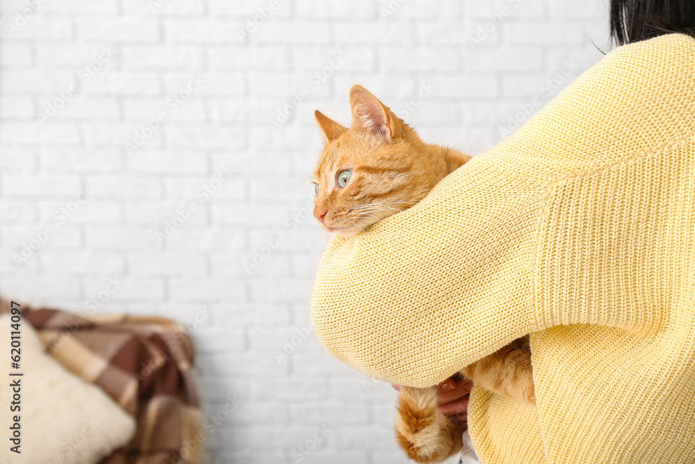 Woman with ginger cat at home, closeup