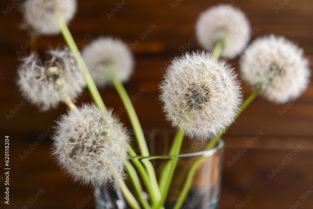 Glass with white dandelion flowers on wooden background, closeup