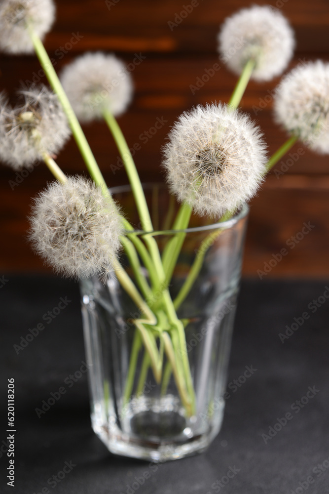 Glass with white dandelion flowers on dark table against wooden background, closeup