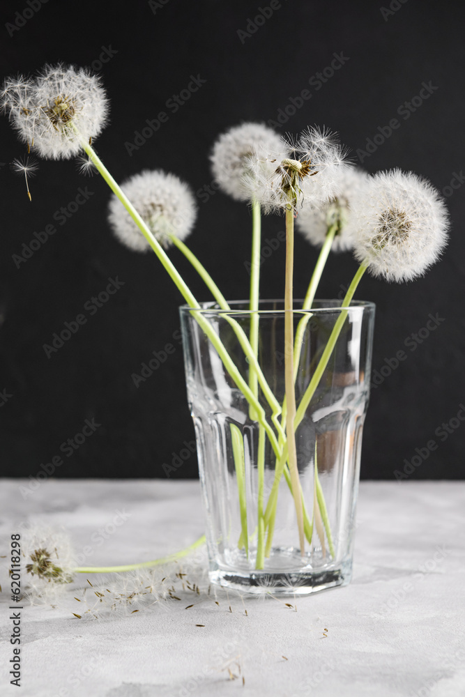 Glass with white dandelion flowers on table against dark background