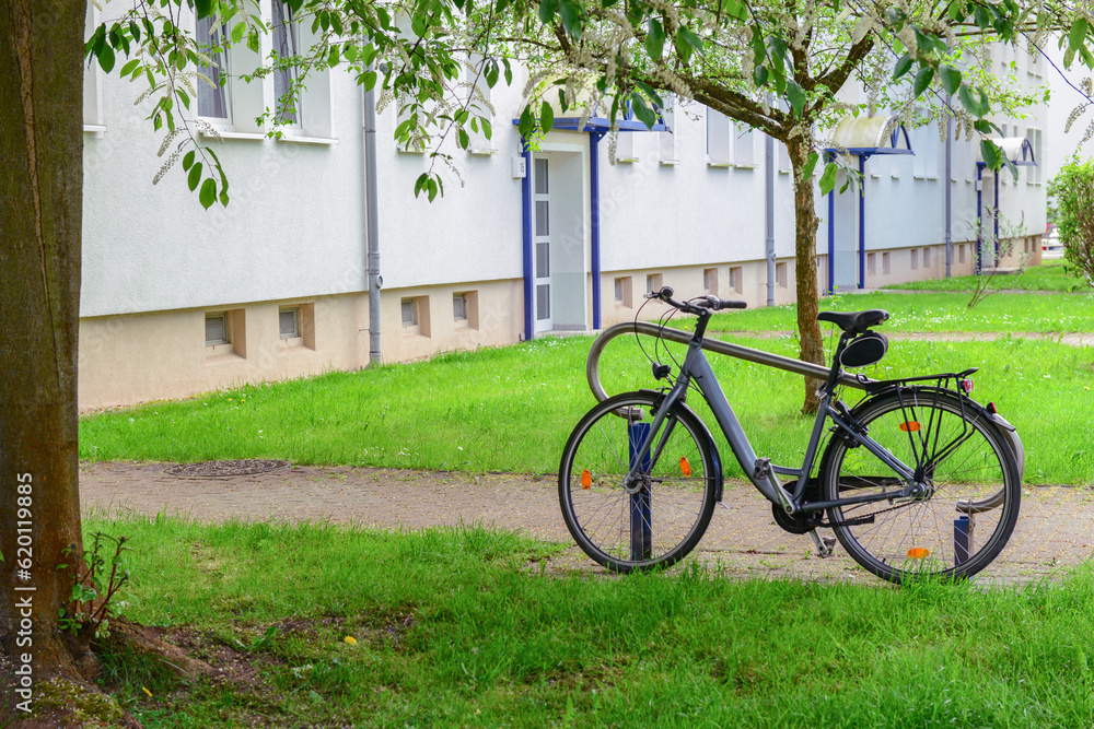 New stylish bicycle in park on sunny day