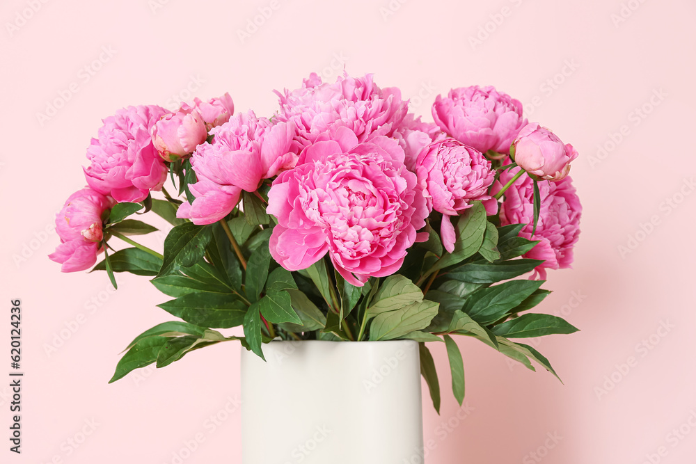 Vase of pink peonies on color background