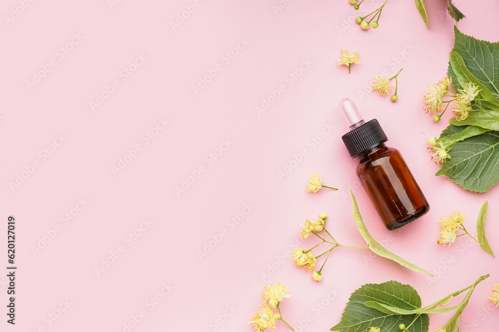 Bottle of essential oil and fresh linden flowers on pink background