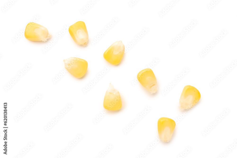 Fresh corn seeds on white background