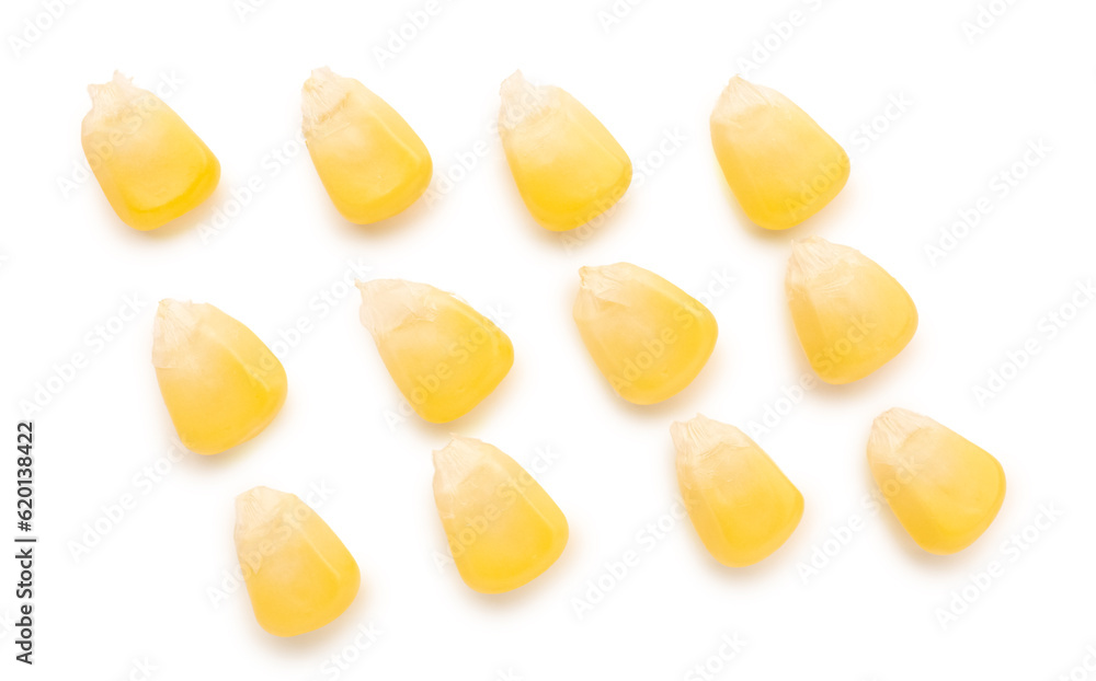 Fresh corn seeds on white background