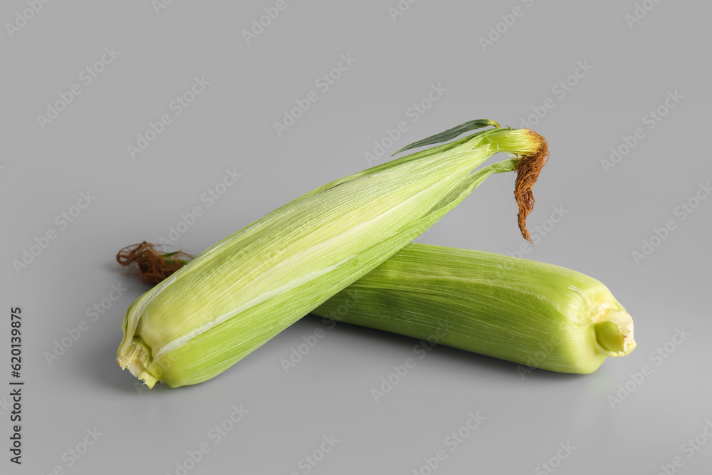 Fresh corn cobs on grey background