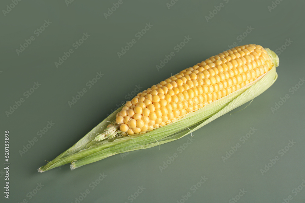 Fresh corn cobs on green background