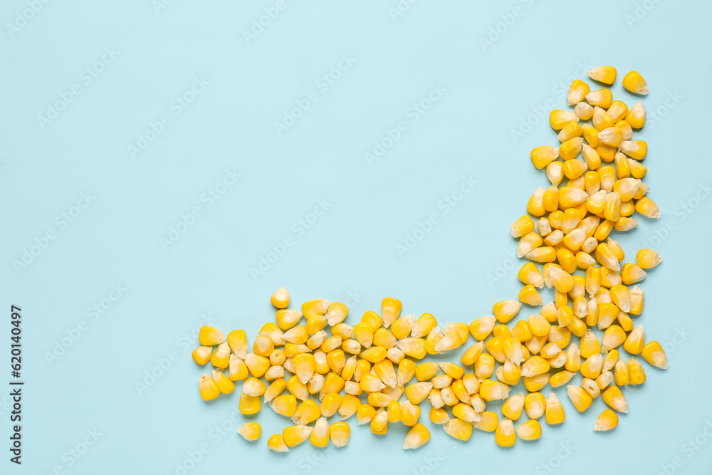 Fresh corn seeds on blue background