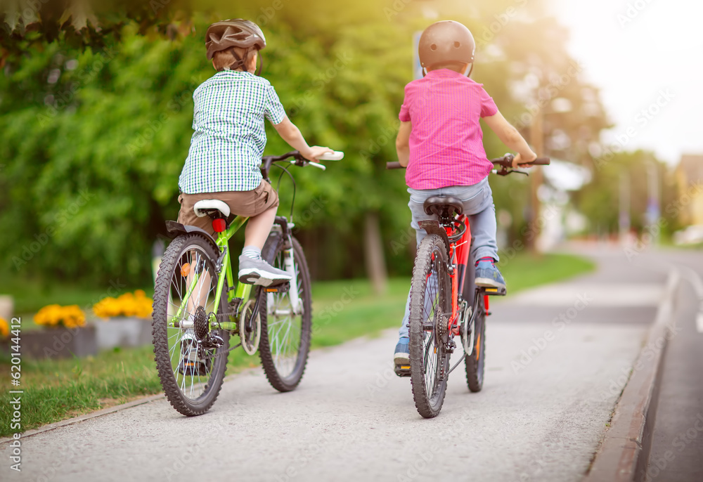 Two boys riding on their bicycles along an asphalt road