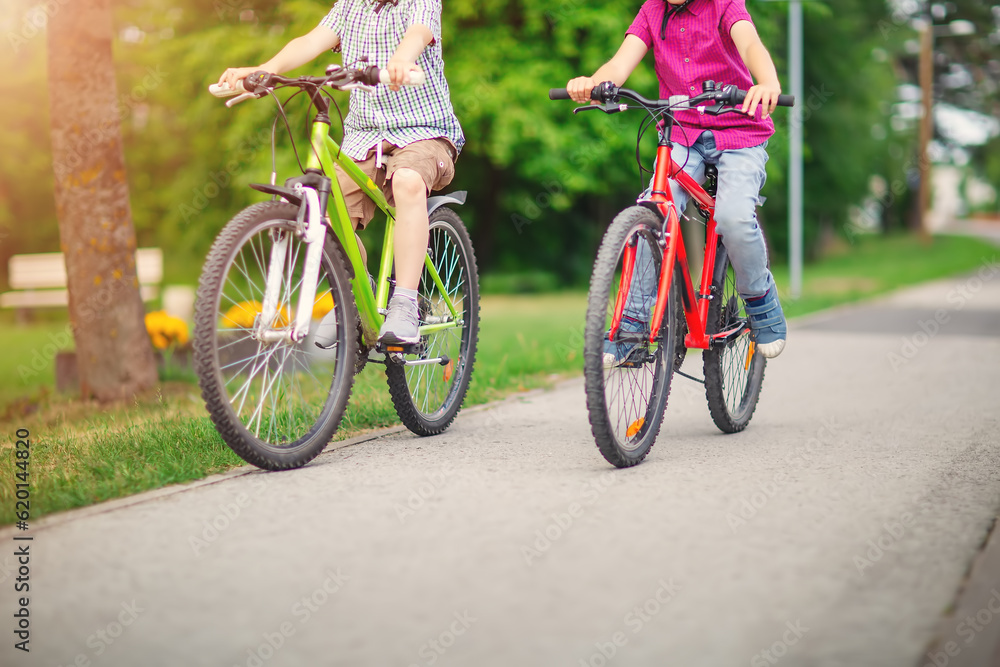 Two boys riding on their bicycles along an asphalt road