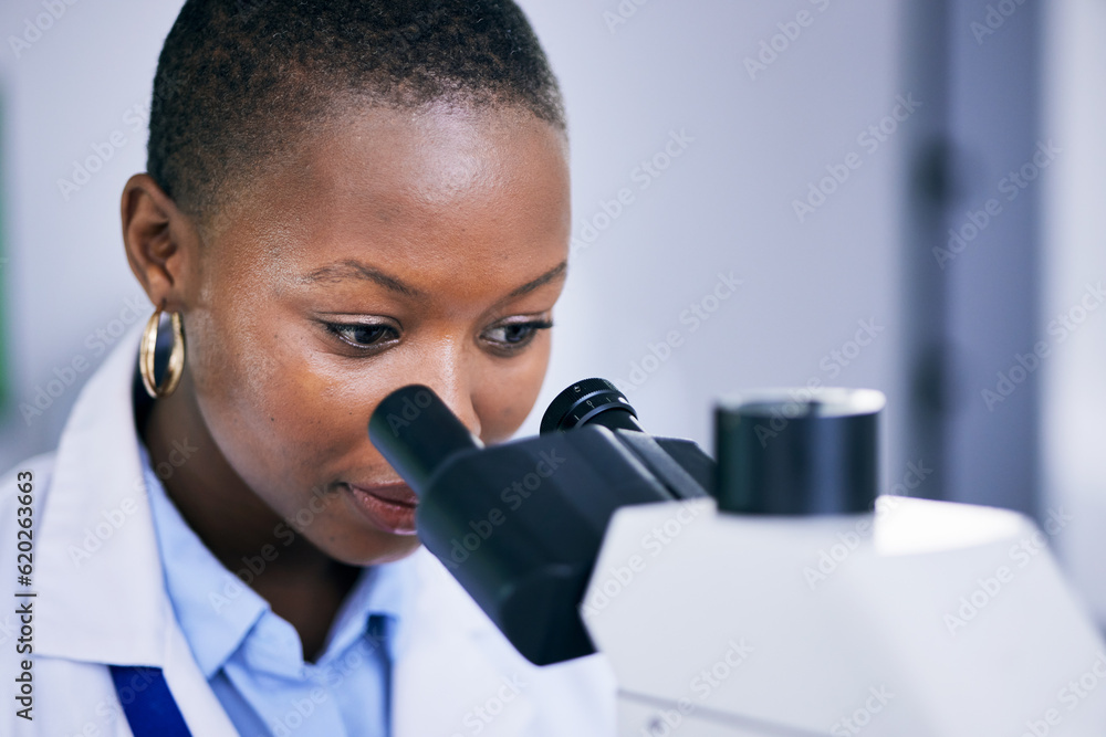 Closeup of black woman scientist, microscope with analysis and science study for medical research an