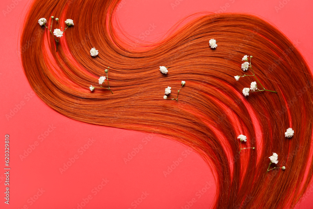 Composition with red hair strand and flowers on red background, closeup