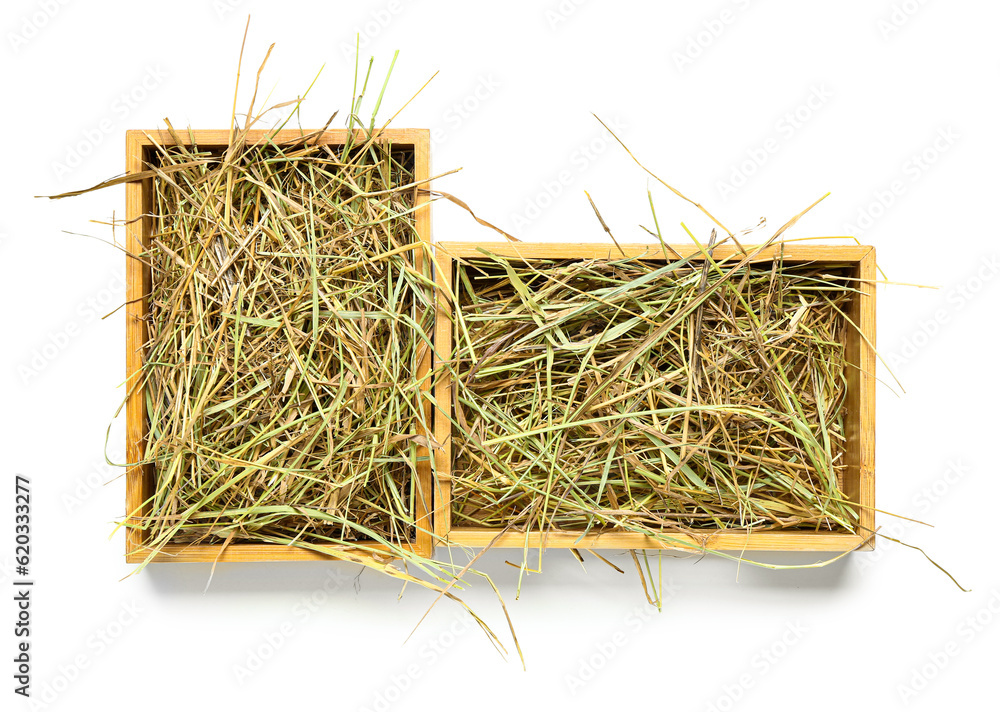 Straw in crates on white background