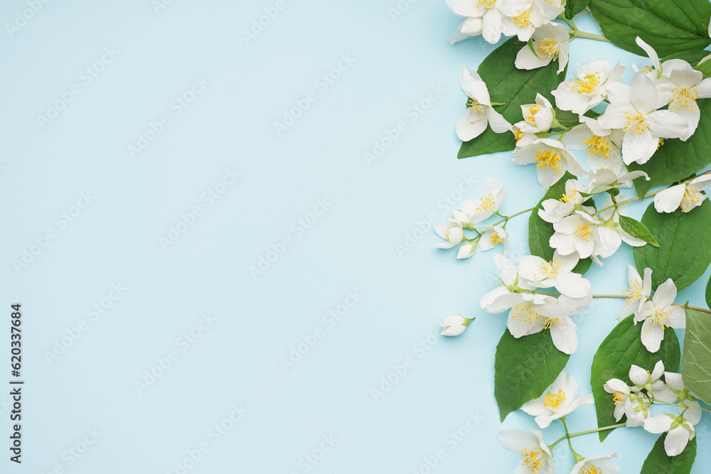 Fresh jasmine flowers with leaves on color background