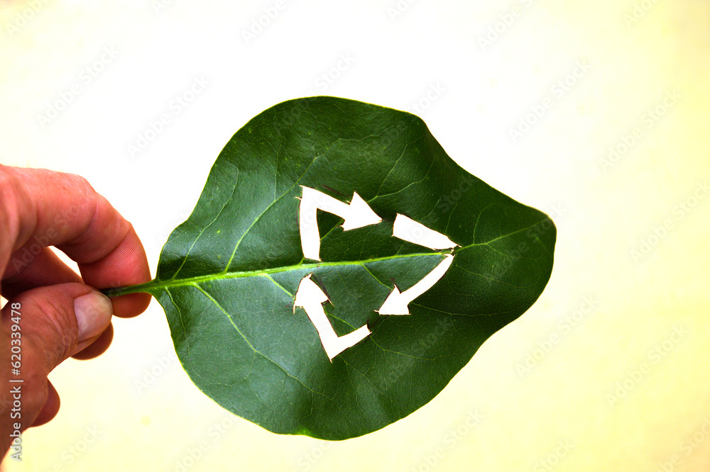 Recycling symbol carved on a green leaf held in the hand. Three chasing arrows folded in a Mobius st