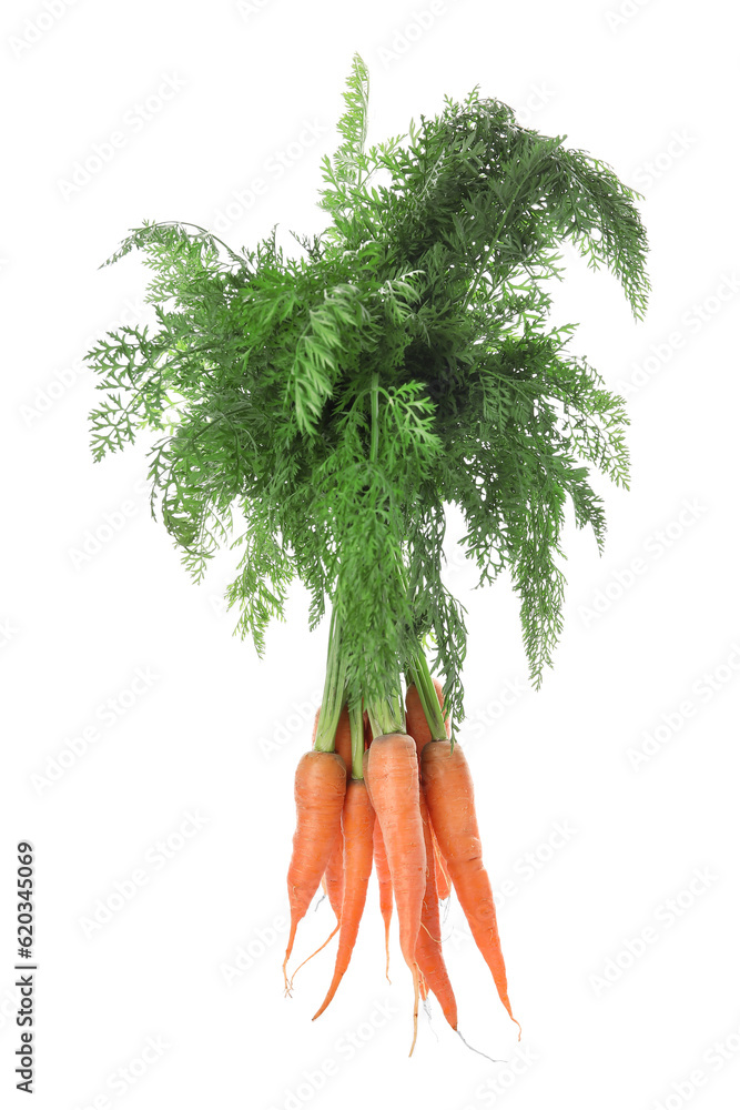 Fresh carrots with leaves isolated on white background