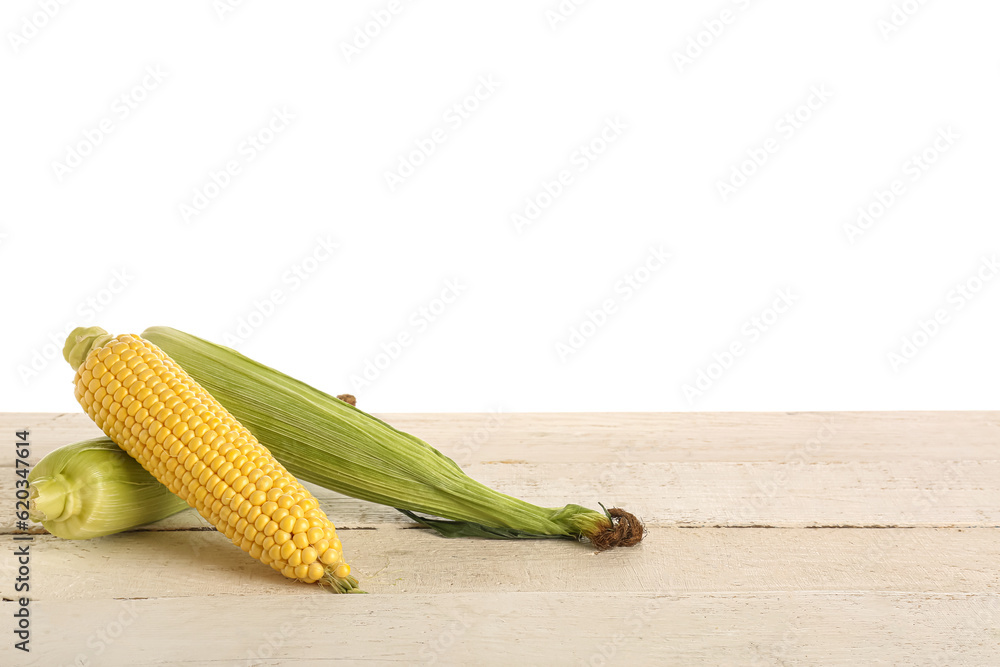 Fresh corn cobs on light wooden table against white background