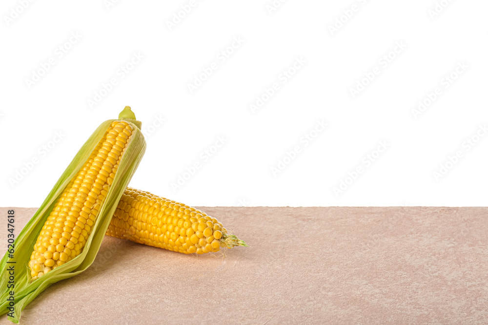 Fresh corn cobs on pink table against white background