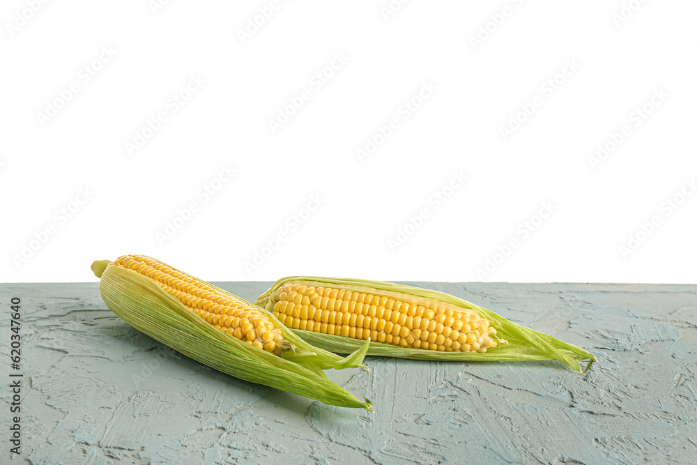 Fresh corn cobs on blue table against white background