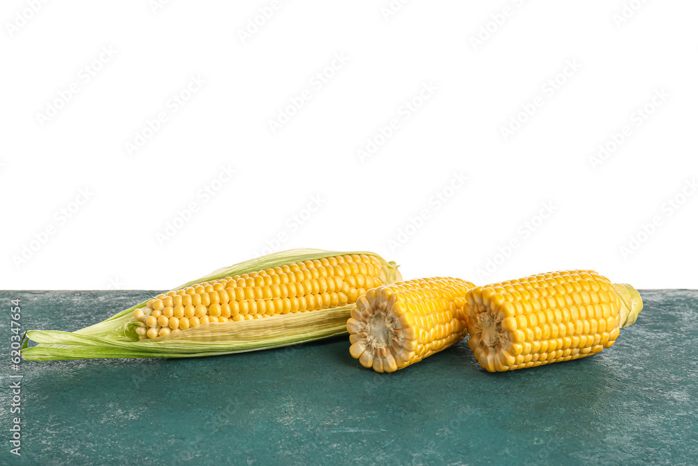 Fresh corn cobs on blue table against white background