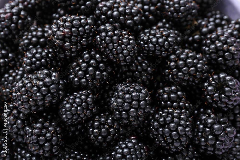 Fresh blackberry as background, closeup