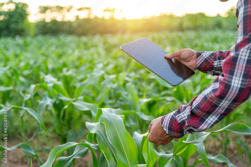 Close up hand of farmer checking quality by tablet agriculture modern technology Concept. Concept of