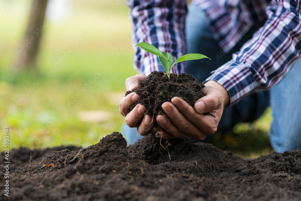 Farmers plant seedlings into fertile soil, nature care cooperation.