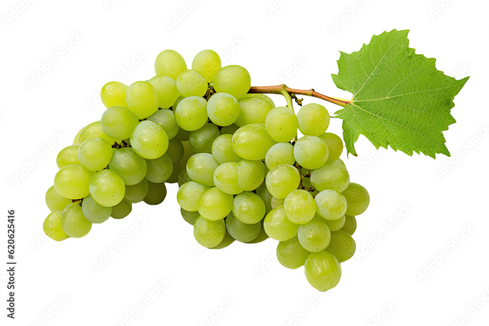 Fresh, succulent, and sweet green grapes in a cluster, separated from their stems, against a plain t