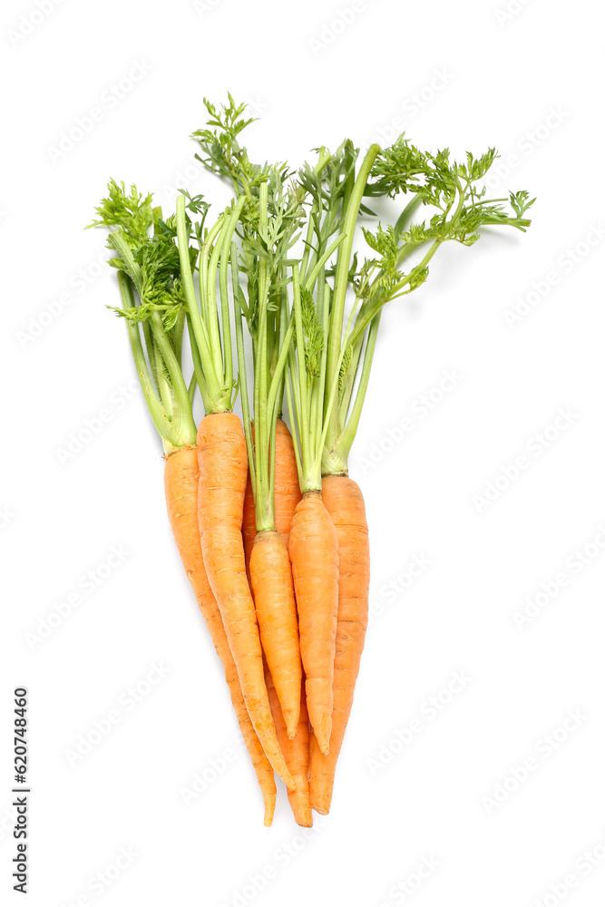 Bunch of fresh carrots with green tops isolated on white background