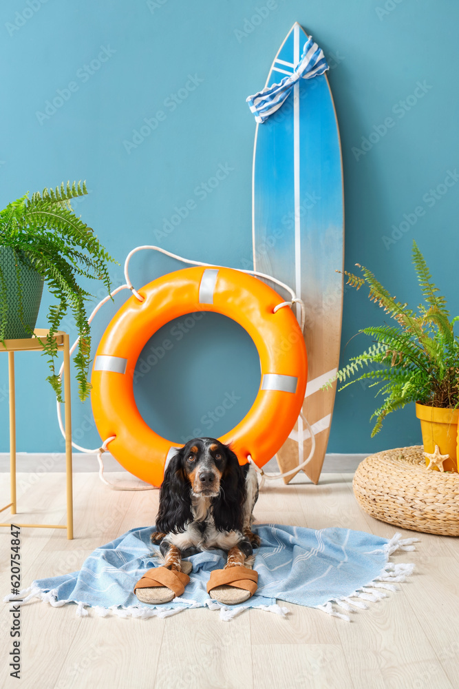 Cute cocker spaniel with beach accessories near blue wall