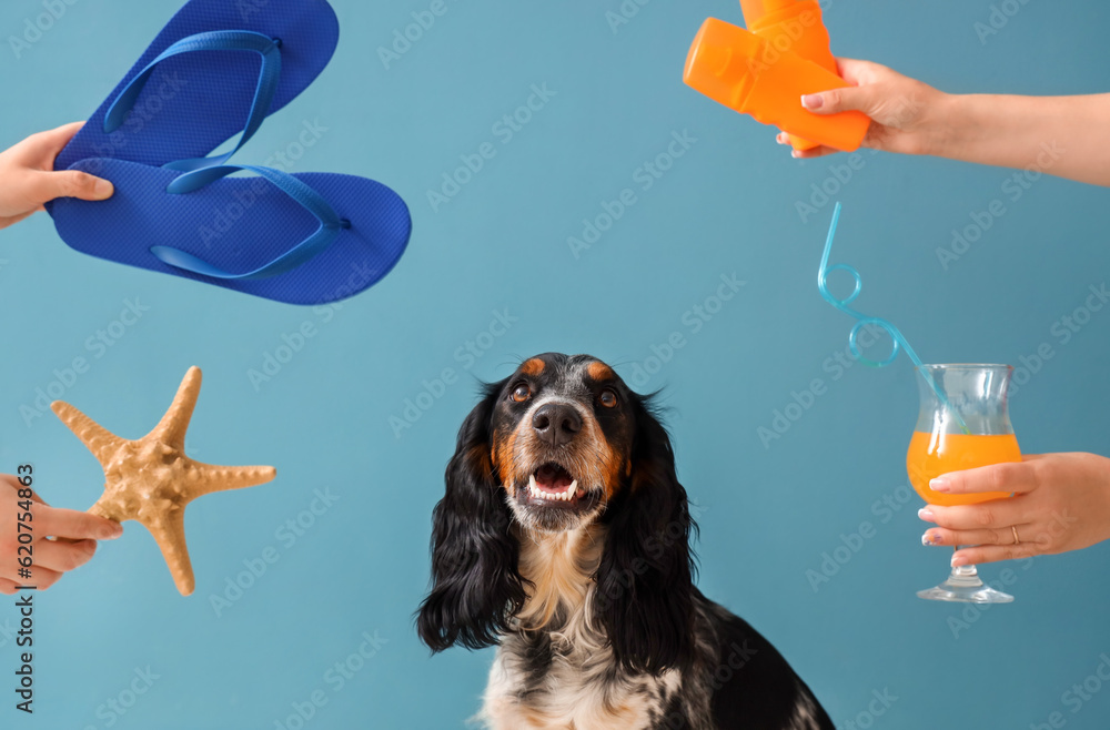 Cute cocker spaniel and hands with beach accessories on blue background